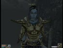 Morrowind ヘタレひとり旅 part67