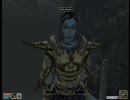 Morrowind ヘタレひとり旅 part67