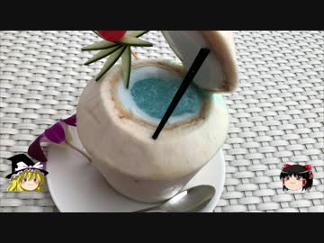 【ゆっくり】チキンの旅日誌　タイ グルメ旅行②　天空プール編