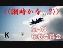 Ace Combat 7 Multiplayer100  バトルロイヤル  Su-34 + HCAA