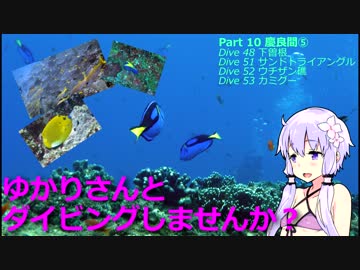 【慶良間⑤（沖縄県）】ゆかりさんとダイビングしませんか？