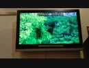 【中学生が】カラオケで  私、アイドル宣言！  歌ってみた！！【初投稿】