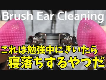【ASMR】鼓膜がハマって抜け出せない強いマイクブラッシング / DR-40【音フェチ】