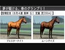 【ウイニングポスト８】トウカイテイオーの仔でＧⅠ勝利を目指す part130