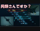 Ace Combat 7 Multiplayer102  バトルロイヤル  Su-34 + HCAA
