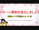 ドローン規制を強化しましょう【週刊ゆっくり平護会ニュース#3】