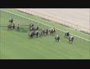 日本ダービー2019ロジャーバローズ応援視点