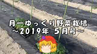 月一ゆっくり野菜栽培 2019年5月