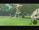【ゼルダの伝説BotW】イワロック、どのくらいで倒せるのか　ブレスオブザワイルド＃３【ニンテンドースイッチ】