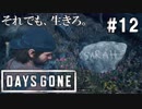 #12 【DAYS GONE】ナイフとバットでサラの墓標を守る男。【ゆっくり実況】