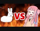 茜ちゃんVSホッキョクウサギ