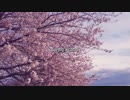 【初投稿】Spring alcohol/numoo【ニコラップ】