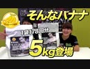 ビーレジェンド そんなバナナ風味に5kgサイズが登場！【ビーレジェンド鍵谷TV】