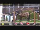 【2019 北海道トレーニングセール】上場番号51～100