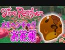 【実況】まるでディ〇ニーなお花畑を散歩【スライムランチャー】#9