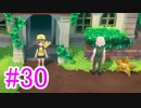 【ピカブイ】ポケモンの世界を大冒険☆パート30【実況】