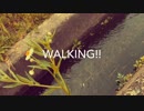 Walking!!/ノブ太郎feat.初音ミク＆v flower