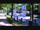 【VOCALOID】迷い猫と首輪【オリジナル曲】