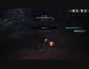 (ひっそりと)MHW初見実況プレイAfter12-3「依頼：森の精霊」(発狂編)