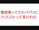 【2ch】電車乗ってたらババァにテロリストって言われた