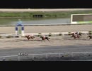 2019年5月25日高知競馬5R くろべえ協賛 ルイ☆ルイ誕生日特別(C2・C3混合) ダブルフェイス