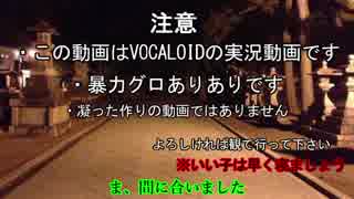《VOICEROID実況動画》ゆかまきのゾンビ無双？その4