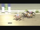 2019年5月25日高知競馬9R 西岡透協賛 １９５戦完走引退特別(C2-3組) ハヤブサタイザン