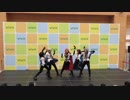 【あんスタ】Knightsで踊ってみた in 2019.05.26 南船橋@ニジフェス【コスプレ】