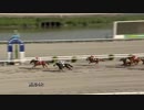 2019年5月26日高知競馬4R Ｕｐｐｅｒ＆ぽら協賛 祝・誕生日・尚美特別(C3-4組) デルママティーニ
