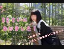【ちゃーこ】　おじゃま虫　【誕生日】