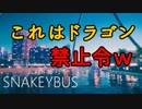【Snakeybus】これはドラゴン禁止令ｗ