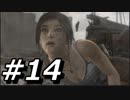 【実況】トゥームレイダー 超人女サバイバーをサクッとプレイ part14