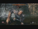 【初見実況】HPと体幹初期値 + αでSEKIRO Part14