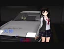 ゆっくりは公道最速の夢を見る。外伝　天使と幻影 ACT.1