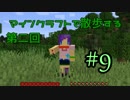 【実況プレイ】広大な世界で散歩する【Minecraft】【第二回】#9