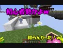 ＃１　2人でお空に旅立ってみた！　【リトルスカイブロック】