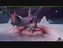 【MHF-ZZ】マグネットスパイクの道 アノルパティス