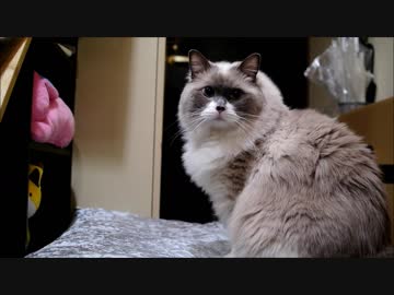 ときさダンシング