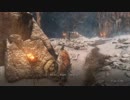 高難易度ゲーム隻狼を53のおっさんがやってみました。（FHD）#50