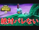 【フォートナイト】最後にたまたま降りた場所が誰にもバレない強ポジだった件