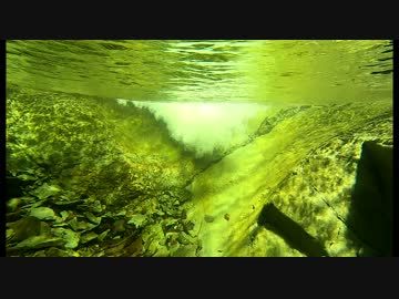 東北ずん子とgungunGUNMA釣り修行#7「晩春の源流釣行」