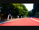 奥多摩周遊道路