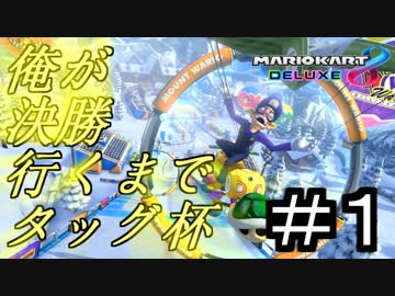 【マリオカート８DX】俺が決勝行くまでタッグ杯＃１【wani視点】