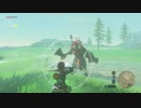 【ゼルダの伝説BotW】雷獣山のライネルさんと初対面を果たした結果・・・。　ブレスオブザワイルド＃４【ニンテンドースイッチ】