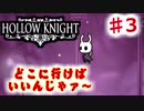 【Hollow Knight】虫嫌いのホロウなナイト#3　