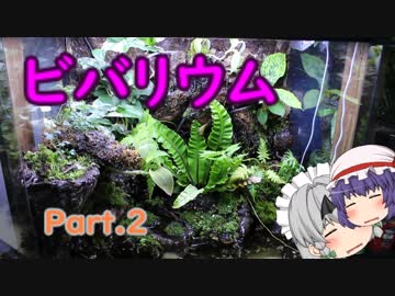 【ビバリウム】初めてのビバリウム Part.2　/イモリウム.02