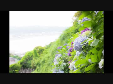 降り始めの雨に　part1