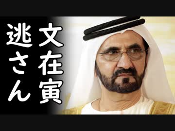 韓国がUAEに原発受注関連で契約不履行をやらかしUAE大激怒！文在寅これどうすんの？