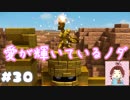 オッカムルは愛で包まれてた♪【ドラゴンクエストビルダーズ２】： 30