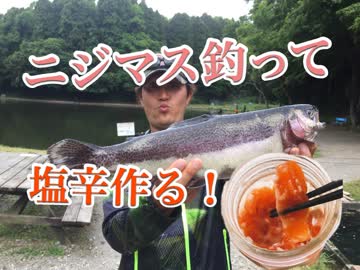 ニジマス釣って！絶品塩辛作ってみた！前編【もっち釣動組合♯４９】